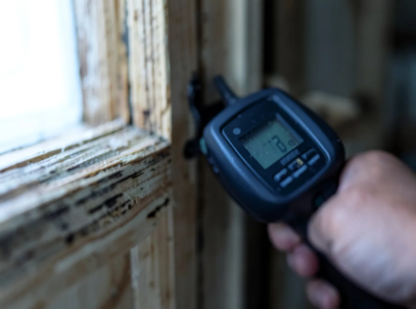 Moisture Inspection And Documentation in Shelbyville, TX